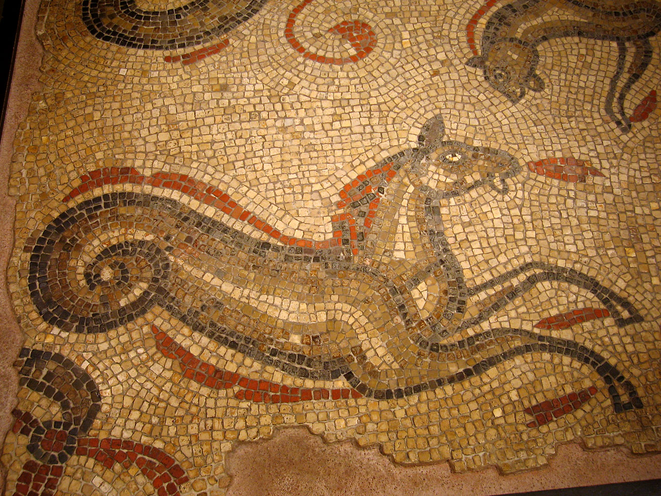 Detailed Roman mosaic featuring a sea horse from a bathhouse